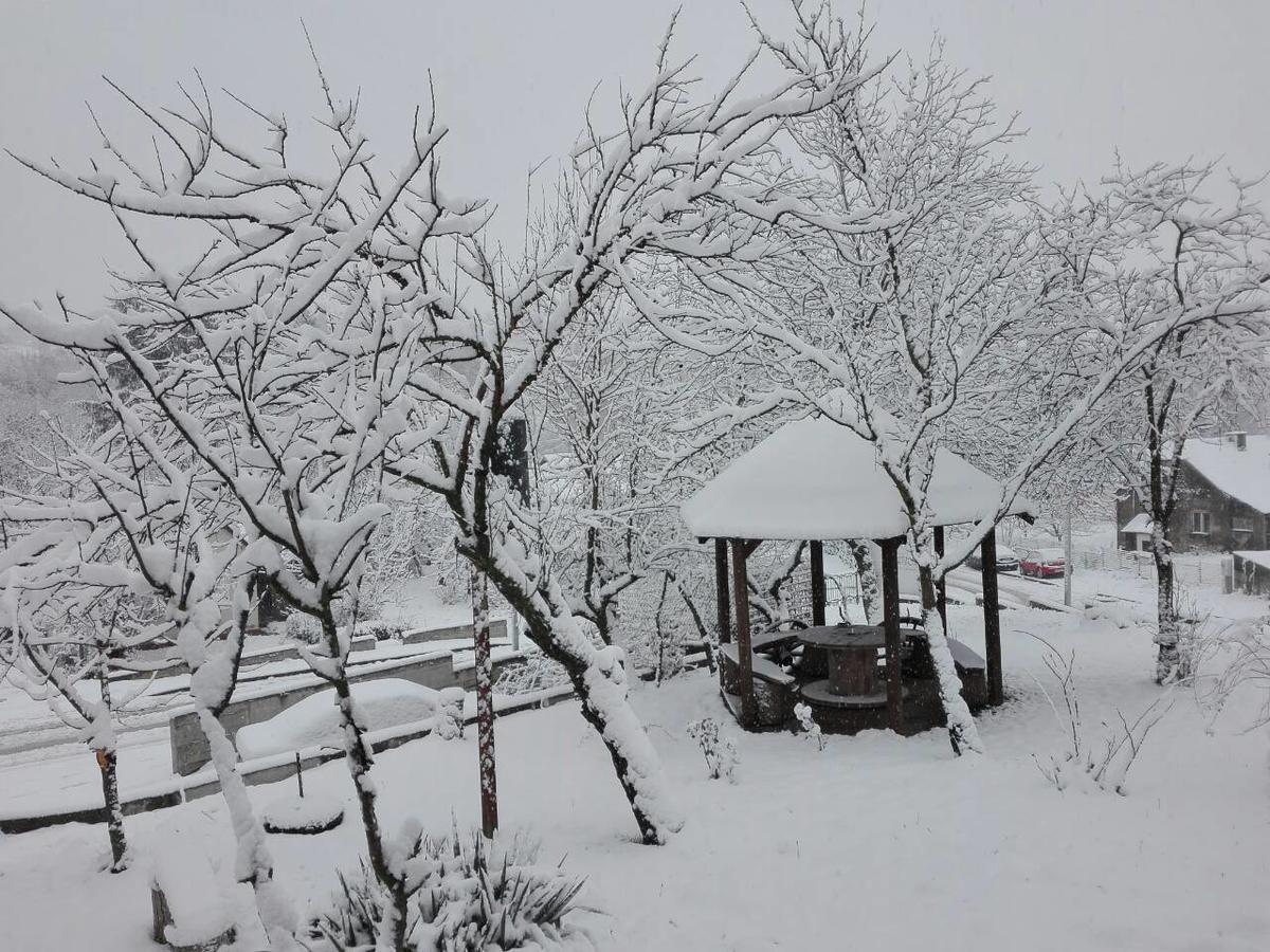 Apartmani Jankovic Vrdnik Exterior foto