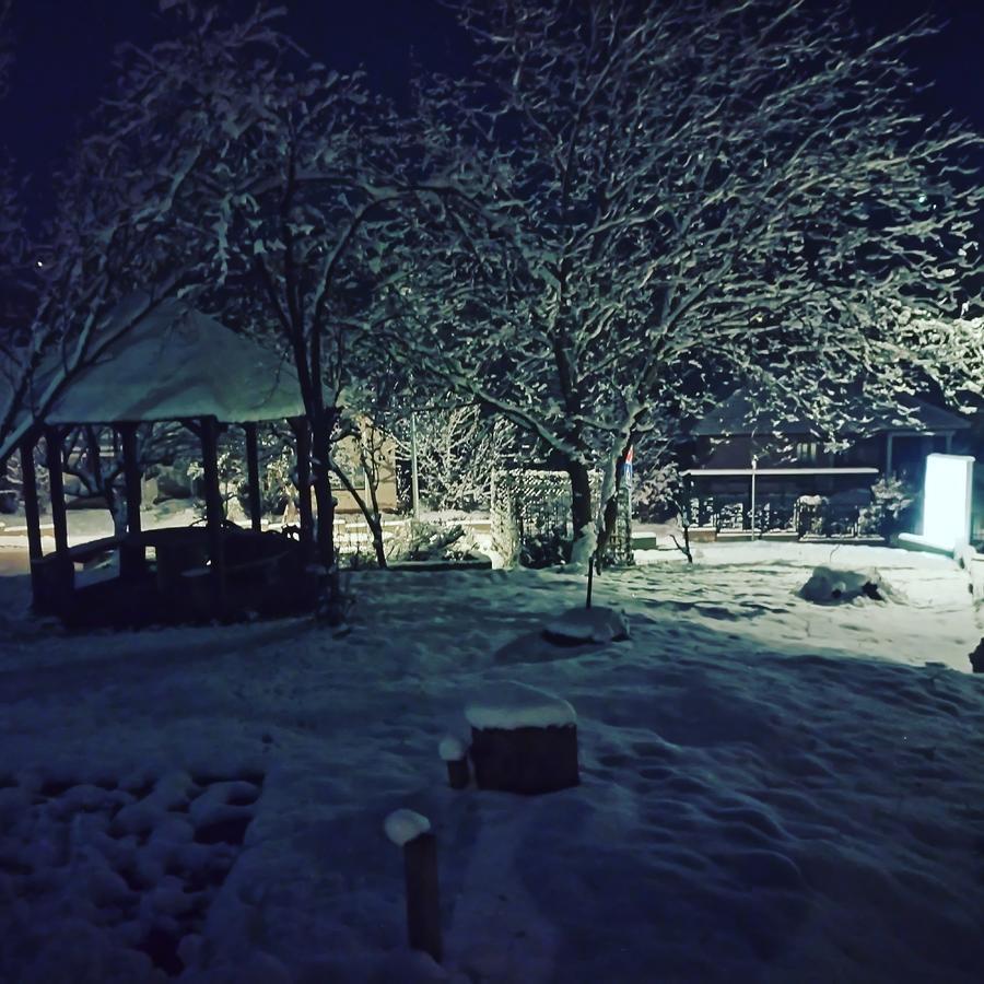 Apartmani Jankovic Vrdnik Exterior foto
