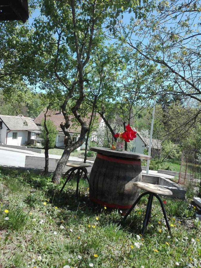 Apartmani Jankovic Vrdnik Exterior foto