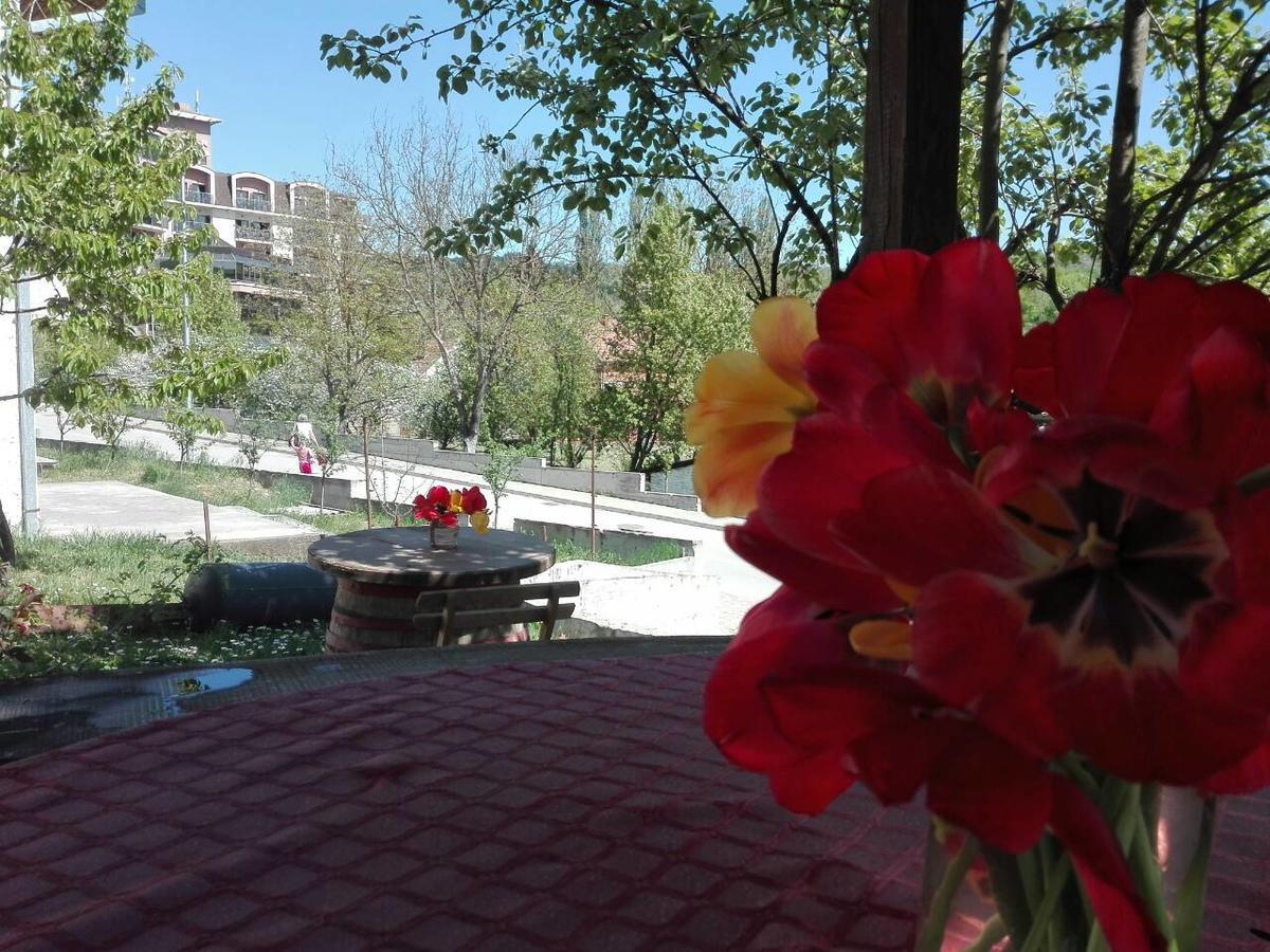 Apartmani Jankovic Vrdnik Exterior foto